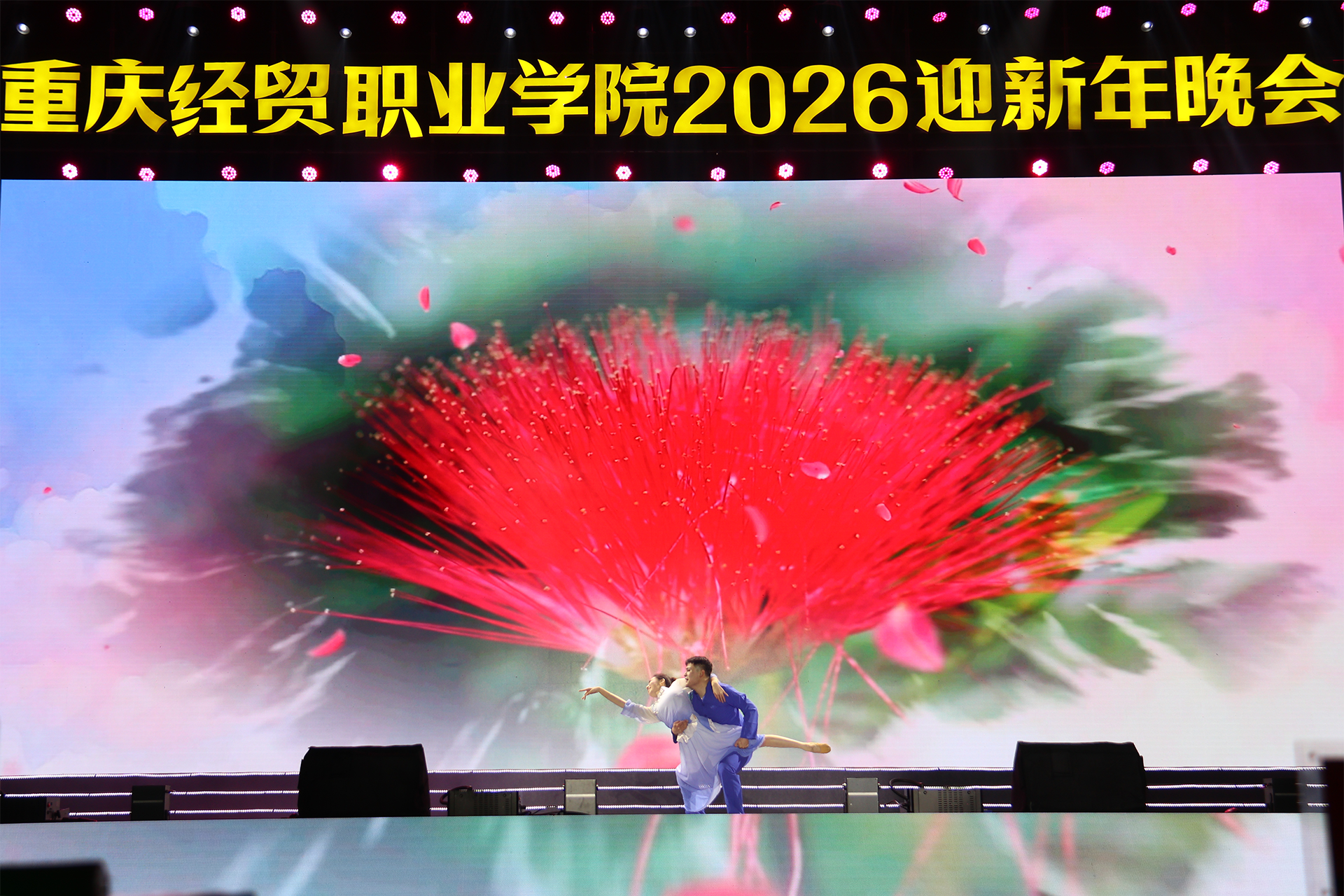 双人舞《芳华》.png