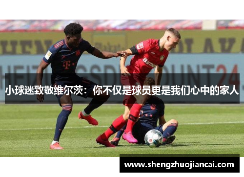 小球迷致敬维尔茨：你不仅是球员更是我们心中的家人